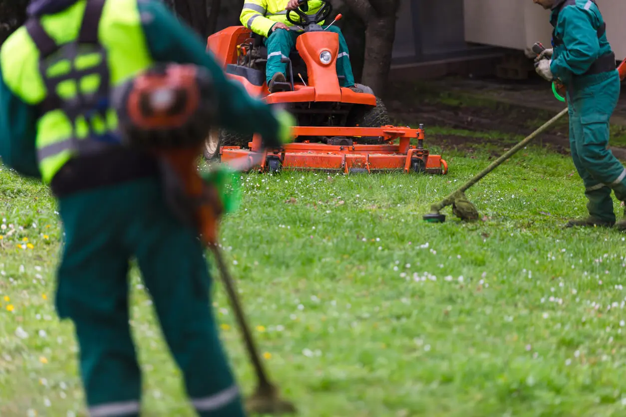 Turf Maintenance And Cleaning